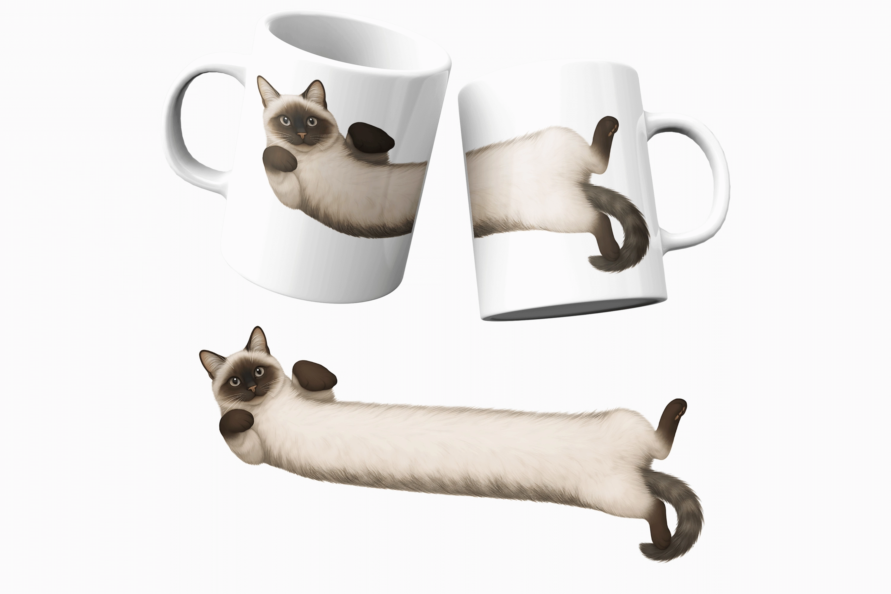 Kedi Sarmalı Temalı Kupa