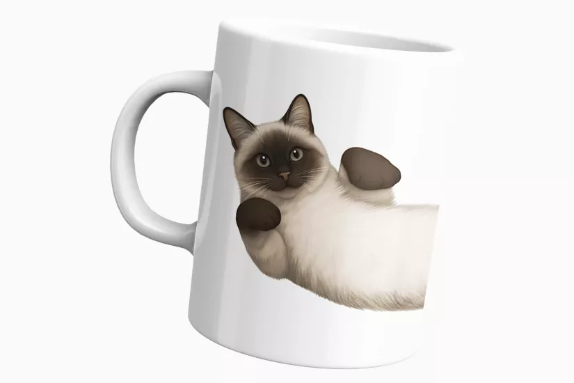 Kedi Sarmalı Temalı Kupa